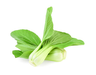 Bok choy (chinese cabbage) isolated on white background
