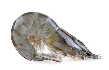 shrimps isolated on a white background
