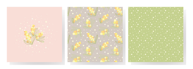 Set of vector cards. bouquet of stylized mimosa sprigs, seamless pattern with polka dots and yellow spring flowers pattern