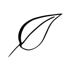 Hand drawn forest leaf, branch. Vector illustration for  card, home decor. 
Isolated on white backdrop. 