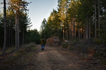 A hunter walking in forest