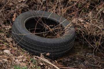 Obraz premium Old used rubber car tire discarded on raw forest ecosystem,environmental pollution.