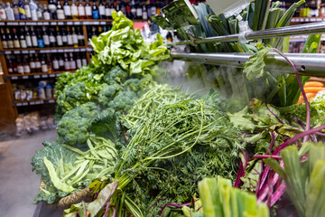 various fresh vegetables and salads are lying in a supermarket and sprayed with wet mist. green salad and carrots to buy. 