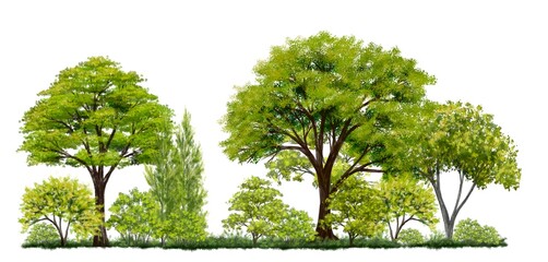 watercolor forest or tree side view isolated on white background  for landscape and architecture layout drawing, elements for environment and garden,green grass illustration