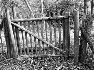 an old wooden weathered garden gate in black and white 