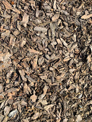 Brown splinters close-up with blur