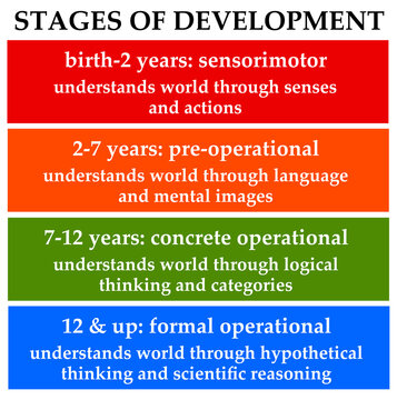 development stages