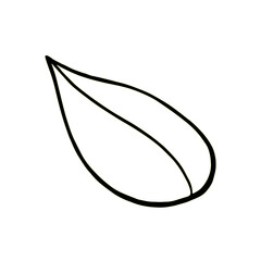 Hand drawn forest leaf, branch. Vector illustration for  card, home decor. 
Isolated on white backdrop. 