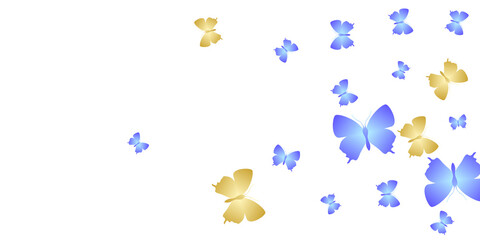 Exotic bright butterflies flying vector wallpaper. Spring beautiful insects. Detailed butterflies flying girly background. Delicate wings moths graphic design. Tropical creatures.