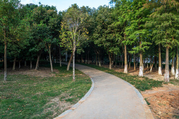 The road of City Park in China