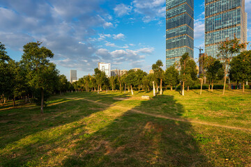 city park with modern building background in shanghai