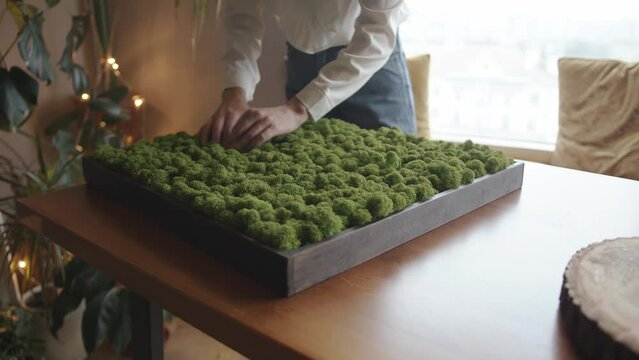 Close-up of female hands straightening bunches of decorative stabilized moss in a wooden box. Eco-friendly gardening for your home or office
