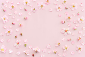 Fototapeta na wymiar image of spring cherry blossoms tree over pink pastel background