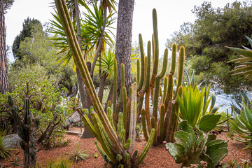 Gardens of Saint-Martin in the Principality of Monaco