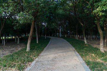 The road of City Park in China