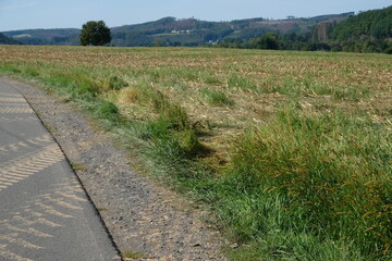 FU 2020-09-13 Herchen 333 Fahrspuren landen in einer Wiese