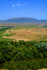 Fototapeta na wymiar Paisaje de La Rioja