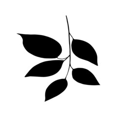 Hand drawn forest leaf, branch. Vector illustration for  card, home decor. 
Hand drawn plant for decoration. 