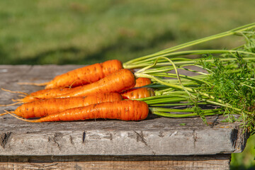 Image with a carrot.