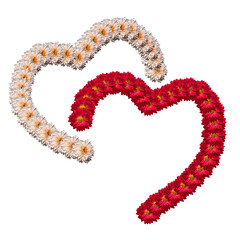 A beautiful decoration in the form of two halves of hearts with chrysanthemum flowers highlighted on a white background. Floral outlines of hearts as a symbol of love and devotion