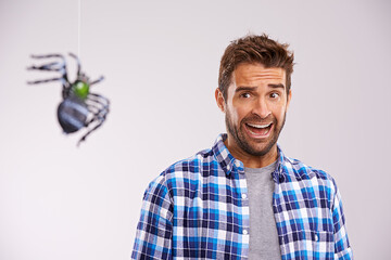 Facing his fears. Studio shot of a young man cowering in terror at a spider against a gray...