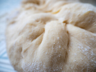 the process of making buns. Raw dough.