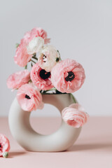Tender ranunculus flowers in trendy ceramic minimalistic vase on pink background with copy space. Bunch of Persian buttercup