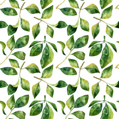 Green leaves watercolor seamless pattern. Botanical painting illustration isolated on white background. Summer Hand drawn illustration. Herbs for cosmetics, package, textile, cards, decoration