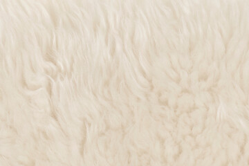 Fototapeta na wymiar beige fluffy wool texture background. white natural fur texture. close-up for designers