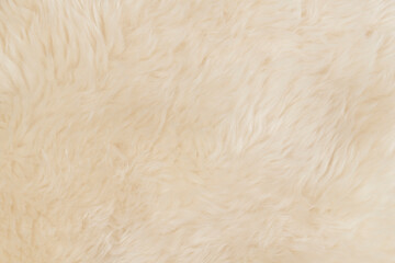 beige fluffy wool texture background.  white natural fur texture. close-up for designers