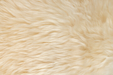 beige fluffy wool texture background.  white natural fur texture. close-up for designers