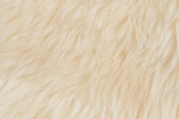 beige fluffy wool texture background.  white natural fur texture. close-up for designers