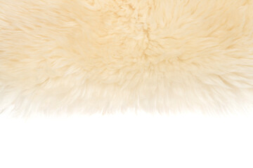 Beige fluffy wool texture isolated white background. white natural fur texture. close-up for designers