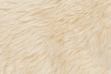 beige fluffy wool texture background.  white natural fur texture. close-up for designers