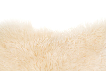 Beige fluffy wool texture isolated white background. white natural fur texture. close-up for designers