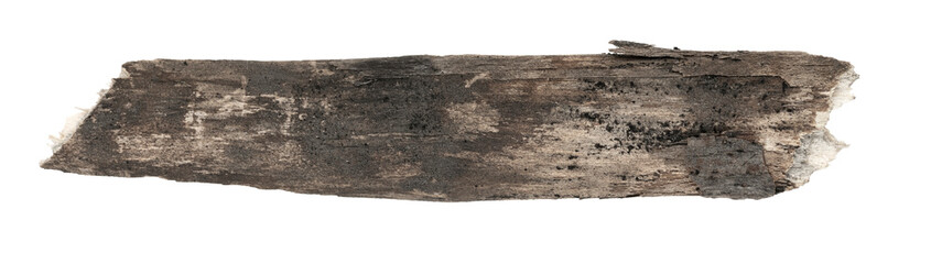 Dry tree twigs branches isolated on white background. pieces of broken wood plank. small wood chips close-up