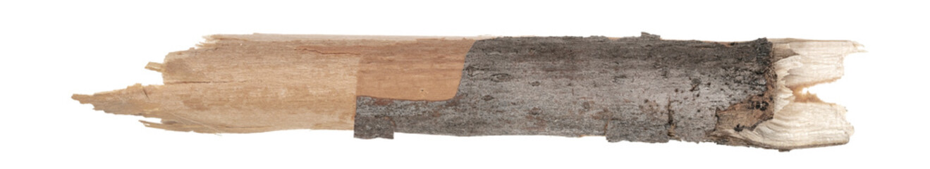 Dry tree twigs branches isolated on white background. pieces of broken wood plank. small wood chips close-up