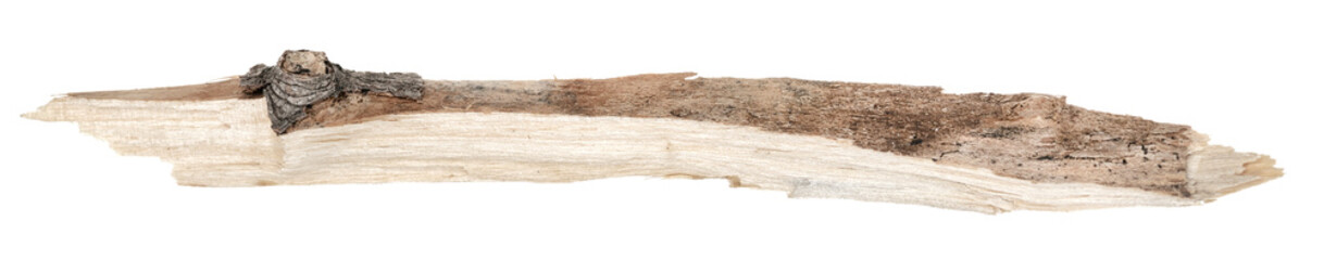 Dry tree twigs branches isolated on white background. pieces of broken wood plank. small wood chips close-up