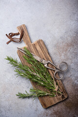 Fresh rosemary spice for tasty meals and scissors on wooden board
