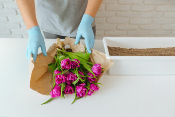 A man gardener unfolds a bouquet of paper tulips with bulbs