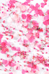 Valentine day background with pink hearts and rose flowers confetti, a flat lay on a white background, a romantic banner