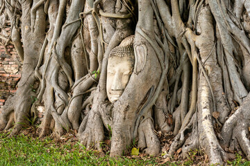 Fototapeta na wymiar Wat Mahathat is located in the city of Ayutthaya. What stands out is the hundred-year-old Buddha head at the base of the tree. Taken on 22-02-2022 at 16:00 Tuesday