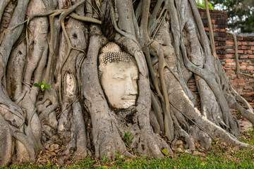 Wat Mahathat is located in the city of Ayutthaya. What stands out is the hundred-year-old Buddha head at the base of the tree.
Taken on 22-02-2022 at 16:00 Tuesday