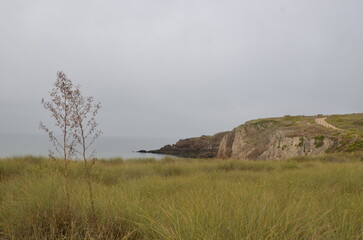 nature sur la c&ocirc;te sauvage