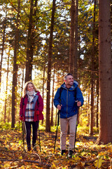 Obraz premium Front View Of Mature Retired Couple Walking Through Fall Or Winter Countryside Using Hiking Poles