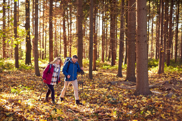 Obraz premium Side View Of Mature Retired Couple Walking Through Fall Or Winter Countryside Using Hiking Poles