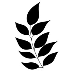 Hand drawn forest leaf, branch. Vector illustration for  card, home decor. 
Isolated on white backdrop. 