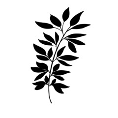 Hand drawn forest leaf, branch. Vector illustration for  card, home decor. 
Isolated on white backdrop. 