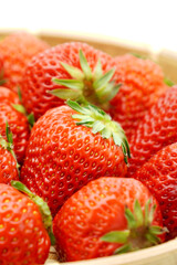 いちご　紅ほっぺ