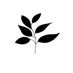 Hand drawn forest leaf, branch.
Vector illustration for  card, home decor. 
Hand drawn plant for decoration 